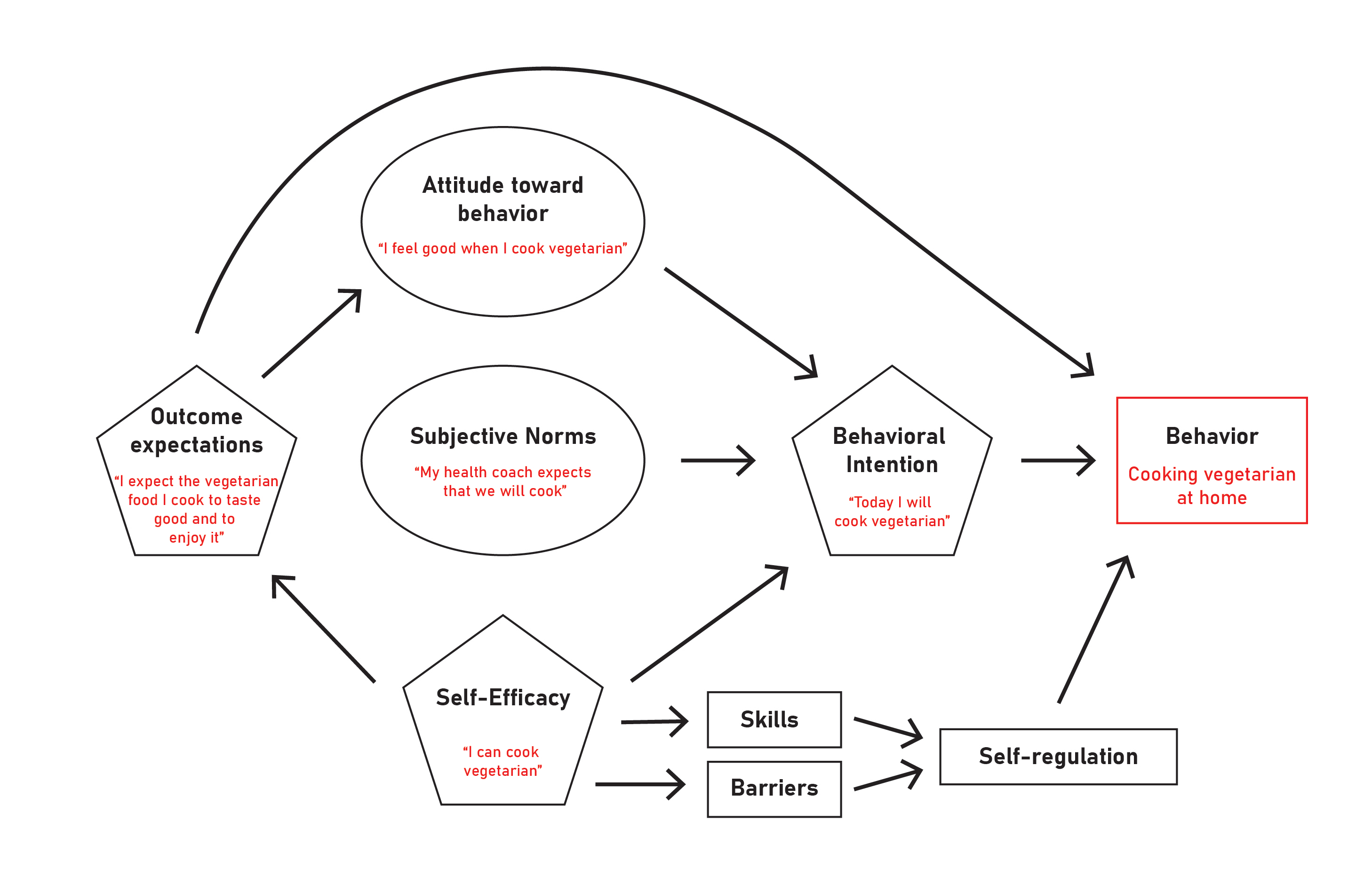 Theory of Planned Behaviour (DBC)